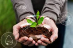Is ESG an imperative for business growth?